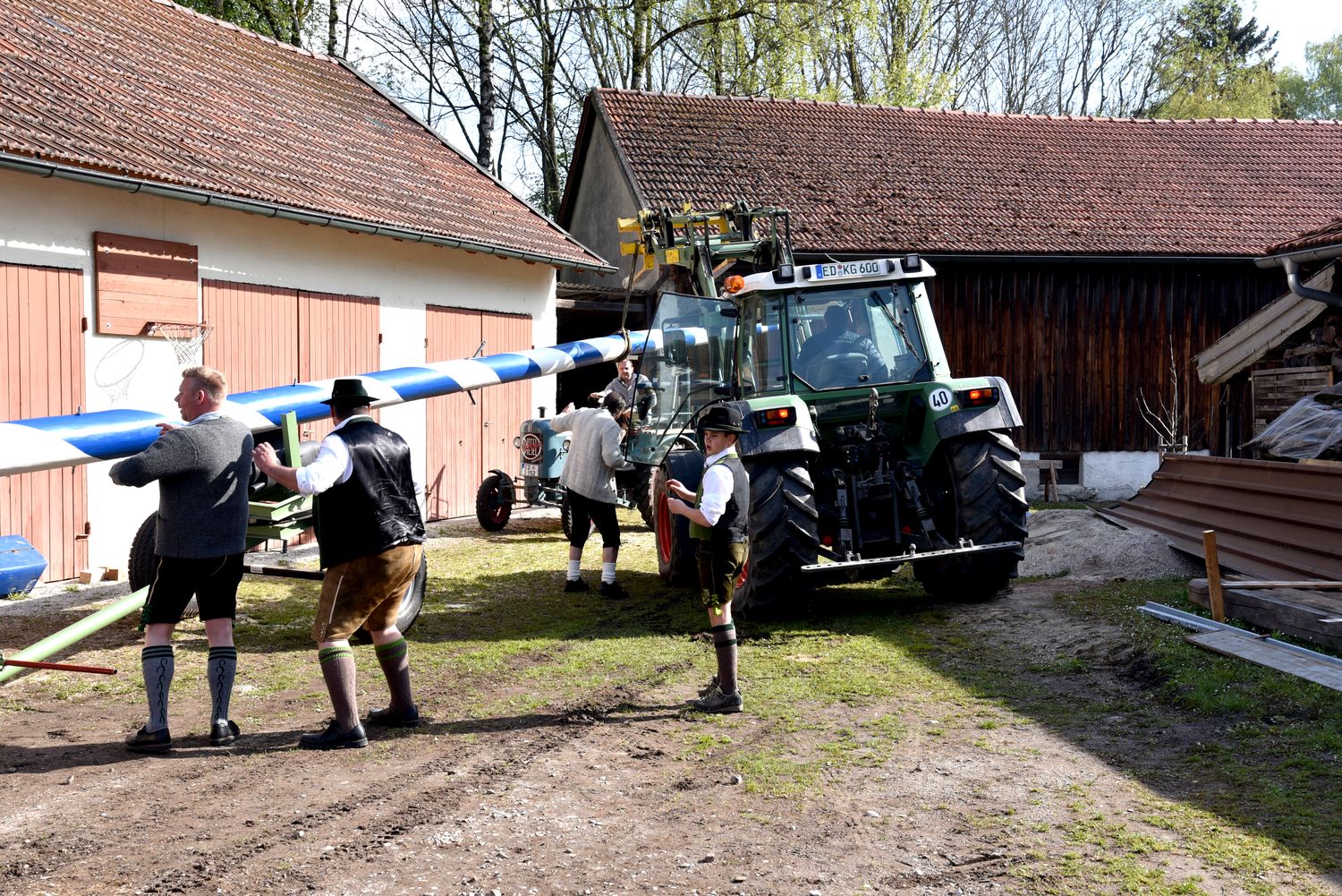 Maibaum 2017 017 8534